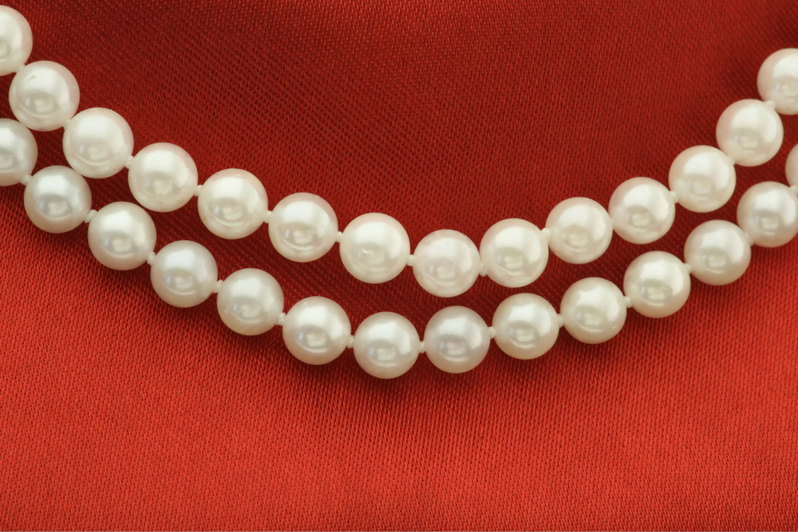 Member Exclusive Rewards