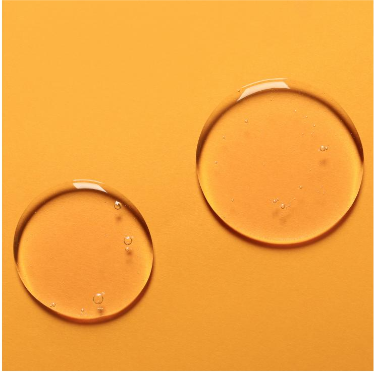 Bacillus / Soybean Ferment Extract