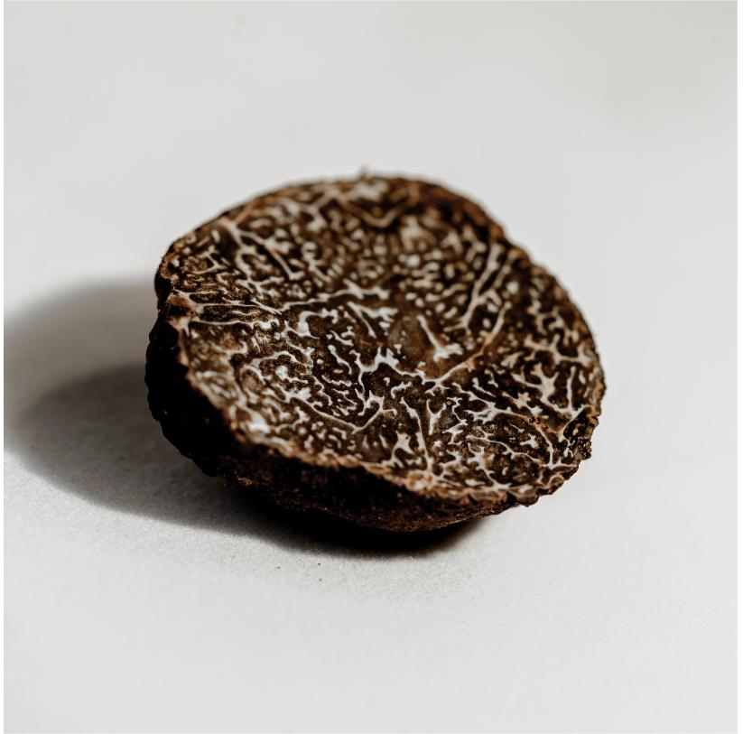 White Truffle Extract (Tuber Magnatum)